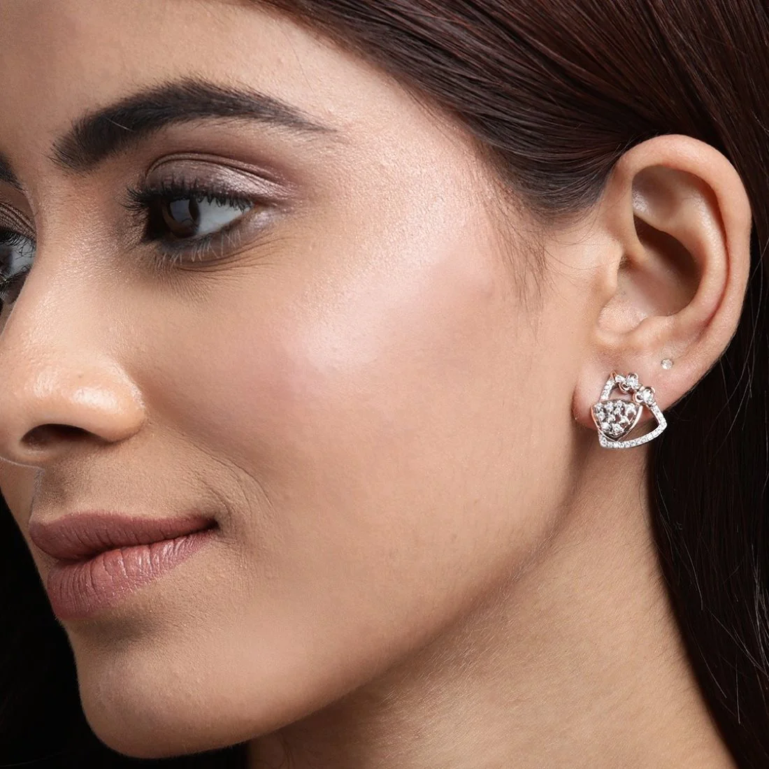 Dual Harmony CZ Sparkle Dual Tone-Plated 925 Sterling Silver Earrings - Image 2